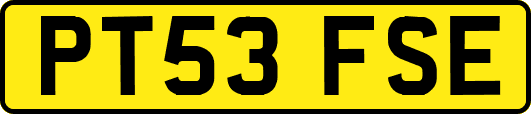 PT53FSE