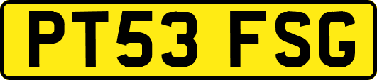 PT53FSG