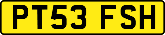 PT53FSH