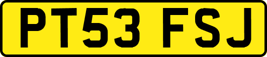 PT53FSJ