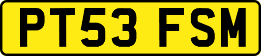 PT53FSM
