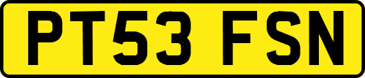 PT53FSN