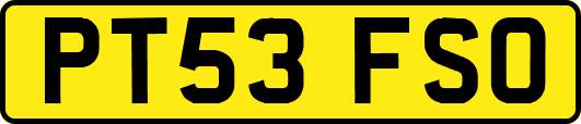 PT53FSO