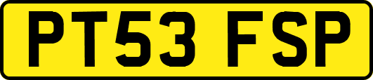 PT53FSP