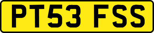 PT53FSS
