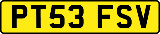 PT53FSV