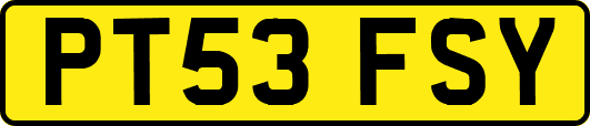 PT53FSY