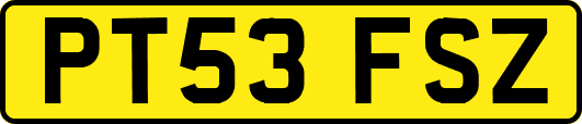 PT53FSZ