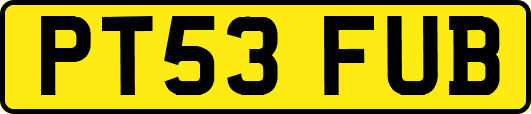 PT53FUB