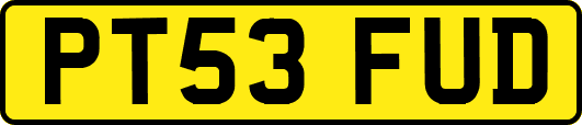 PT53FUD