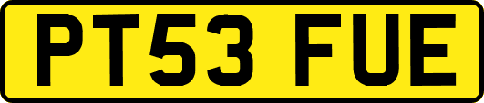 PT53FUE