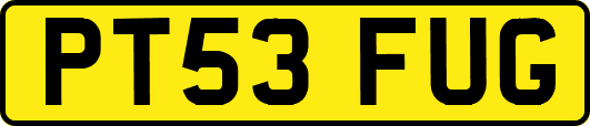 PT53FUG