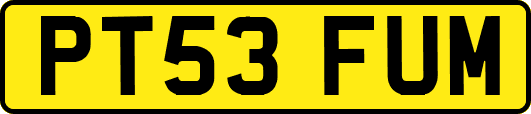 PT53FUM