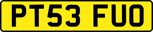 PT53FUO