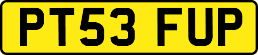PT53FUP
