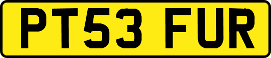 PT53FUR