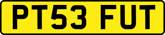 PT53FUT