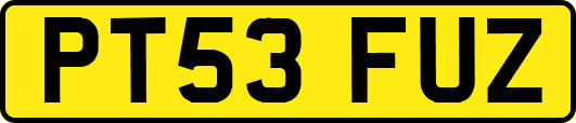 PT53FUZ