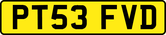 PT53FVD