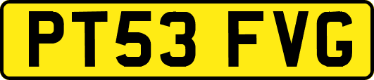 PT53FVG