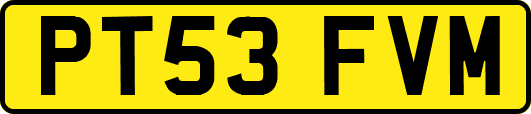 PT53FVM