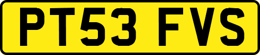 PT53FVS