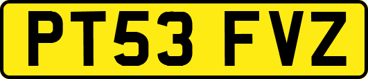 PT53FVZ