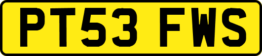 PT53FWS