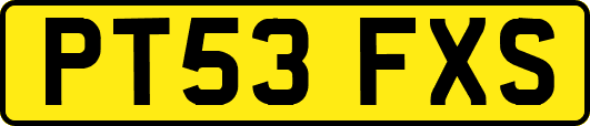 PT53FXS