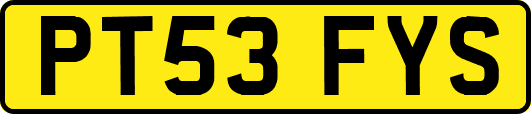 PT53FYS
