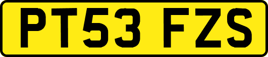 PT53FZS