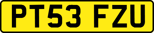 PT53FZU