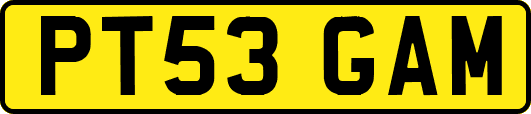 PT53GAM
