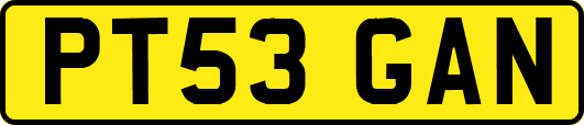 PT53GAN