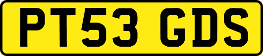 PT53GDS