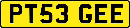 PT53GEE