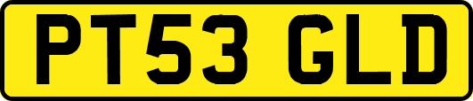 PT53GLD