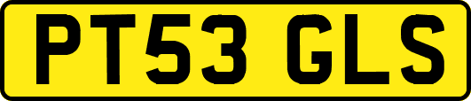 PT53GLS