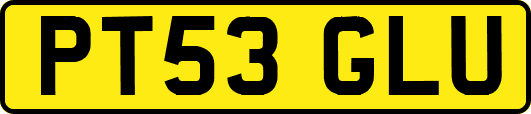 PT53GLU