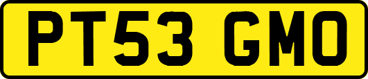 PT53GMO