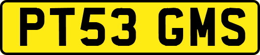 PT53GMS