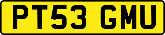 PT53GMU