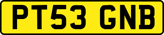 PT53GNB