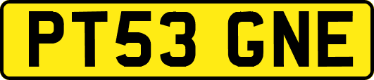PT53GNE