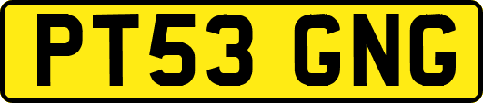 PT53GNG