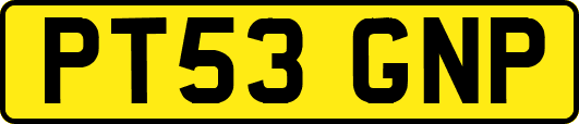 PT53GNP