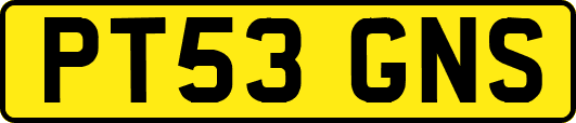 PT53GNS