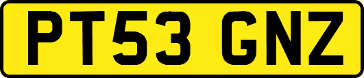 PT53GNZ