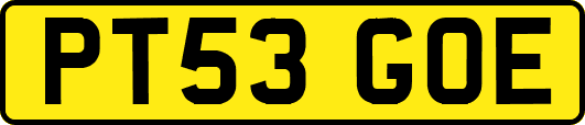 PT53GOE