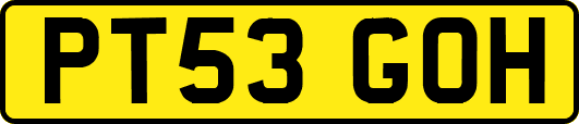 PT53GOH